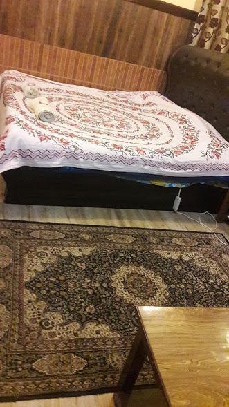 Blooming Dale Hotel Srinagar  Bagian luar foto