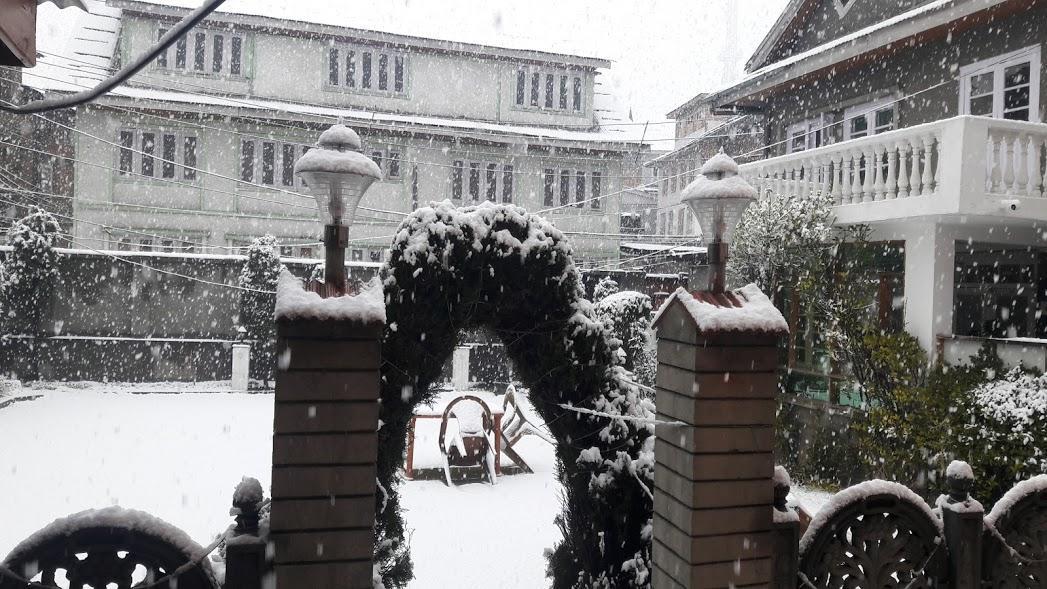 Blooming Dale Hotel Srinagar  Bagian luar foto